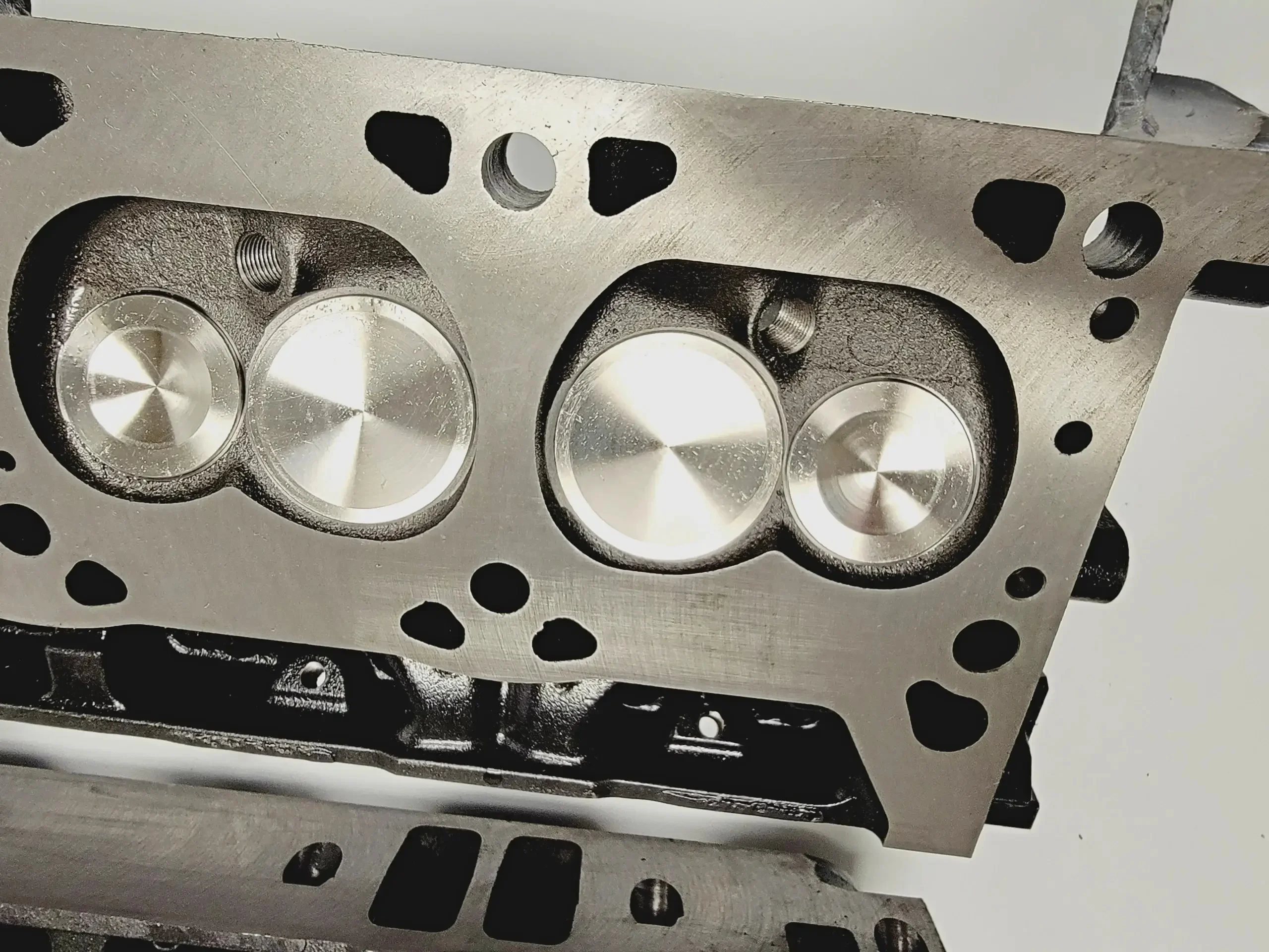 CADENHEAD'S INCHGOWER 9年 Detroit Speed Assembled Center Section - FN988 - Ford 8.8